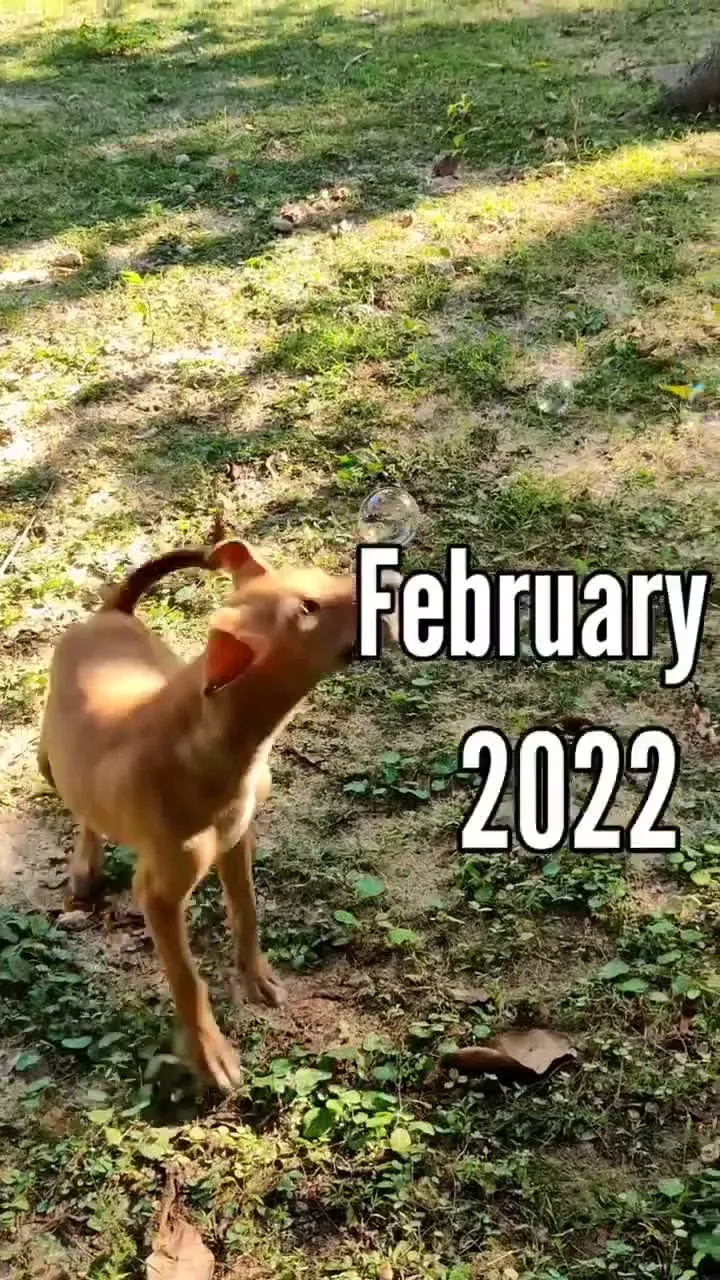 February 2022